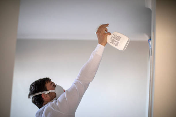Certified Mold Removal in Roseburg North, OR