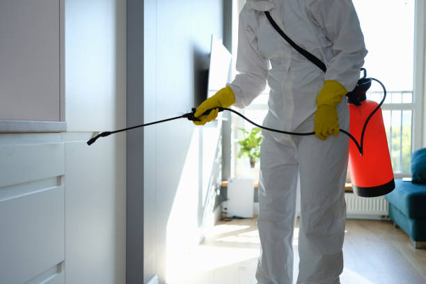 Mold Removal and Inspection in Roseburg North, OR
